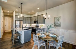 6226 Vernazza Way, Windsor, CO 80550