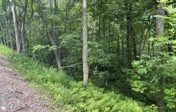 Route 30, Winhall, VT 05340