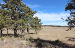 Tract 4 Lariat Circle, Hot Springs, SD 57747-0000