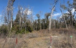135 NE 349th Ave, Old Town, FL 32680