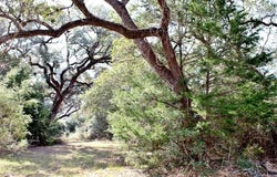 TBD Lobo Lane, Columbus, TX 78934