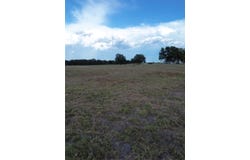 Grant Prairie Rd lot: 6, Franklin, TX 77856