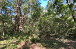 Live Oak, FL 32060