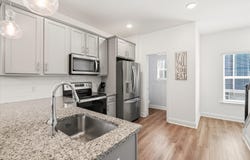 1256 Allusion Lane, Mount Pleasant, SC 29466