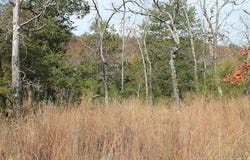 Indian Ridge, Pittsburg, OK 74560