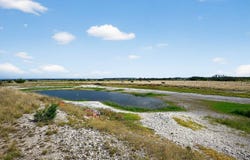 37 County Road 134, Mullin, TX 76864