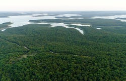 80 +/- acres MC 164, Peel, AR 72668