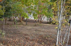 999 Moonlight Drive, Sequim, WA 98382