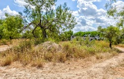 1160 W Highway 85, Dilley, TX 78017