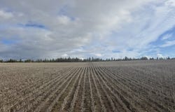 NKA Two Mountainview Rd, Goldendale, WA 98620