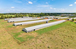401 CR 869, Cushing, TX 75760