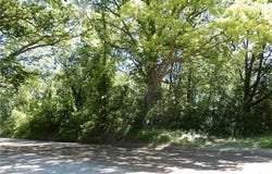 V/L DIXIE Highway, Independence Twp, MI 48346