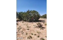 N Drive, St Johns, AZ 85936