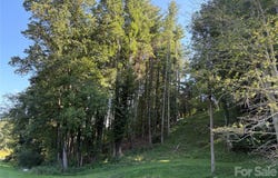 51 Barebridge Fields Road, Burnsville, NC 2874
