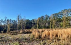 1169 Ole Springs Road, Summit, MS 39666