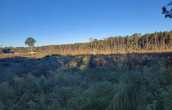 Haralson Lane, Forest, MS 39074