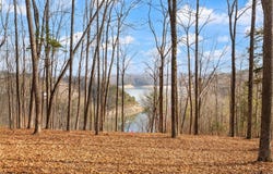 Tract 1 Hwy 196, Nancy, KY 42544