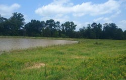 FM 990, Simms, TX 75574