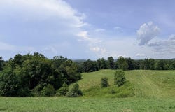 Tract 2 Cherrytree Ln, Monroe, TN 38573