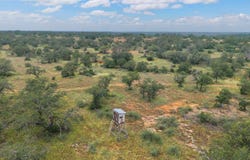 11814 CR 266, Richland Springs, TX 76871