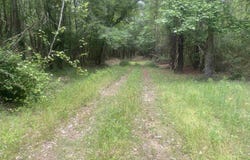 Bruno Rd, Andalusia, AL 36421