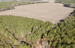 Sandy Ridge Road, Tyner, NC 27980
