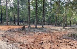 8177 Hepzibah Rd, Clinton, LA 70722
