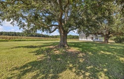 3568 Alcolu St., Alcolu, SC 29001