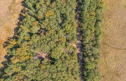 Tract D TBD Little Pine Road, Brainerd, MN 56401