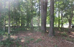 Roanoke Drive W lot: 1, Hertford, NC 27944