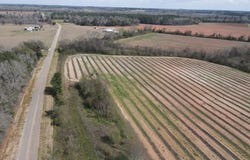 Lot 4 Adams Road, Ashford, AL 36312
