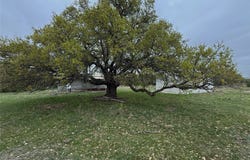 Co Rd 369, Carbon, TX 76435