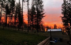 320 Pine Forest Rd, Goldendale, WA 98620