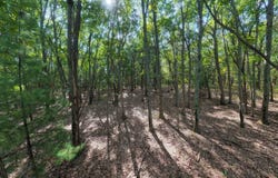 45.86ac County Rd M, Westfield, WI 53964