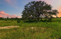 2194 S Ranch Rd 187, Sabinal, TX 78881