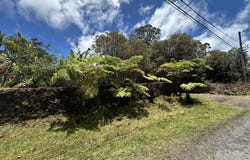 HOHIU ST, Mountain View, HI 96771
