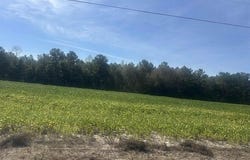 Tansy Rd., Loris, SC 29569