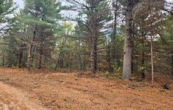 Parcel I Tatanka Trail, Baldwin, MI 49304