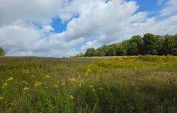 1418 County Rd 16, Smyrna, NY 13832