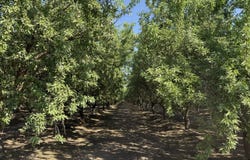 15500 Road 200, Porterville, CA 93257