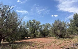 276 Of Cathedral Valley Road, Ash Fork, AZ 86320