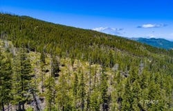 Forest Rte 4N20, Hyampom, CA 96046