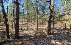 160 Acres Co Rd D1625, Muse, OK 74577