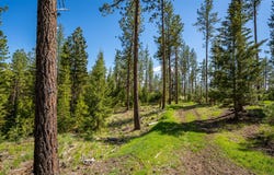 3605 Hubbart Dam Road, Marion, MT 59925