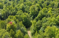 Goodwin Road lot: 10, Carthage, ME 04224