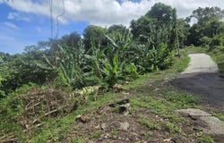 Mayaguez, Mayaguez, PR 00680