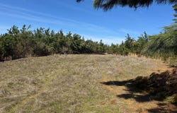 Duck Hill Ranch Road, Duck Hill, MS 38925