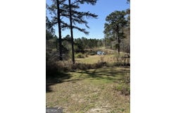 442 Fox Run Road, Adrian, GA 31002