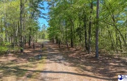 1315 Hill Harrell Road, Effingham, SC 29541-3179