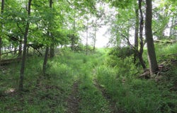VL Rescue Road, Owendale, MI 48754